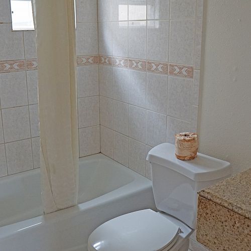 This image shows a bathroom with a bathtub, shower curtain, toilet, toilet paper, and a sink with a countertop and mirror.