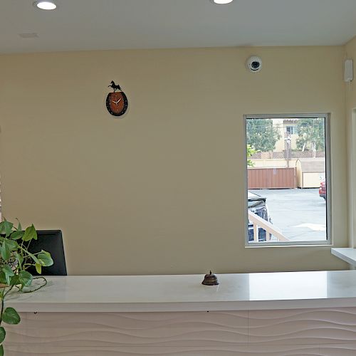 A reception desk with plants and a bell. A clock hangs on the wall, windows show an outdoor view, and the interior is lit by ceiling lights.